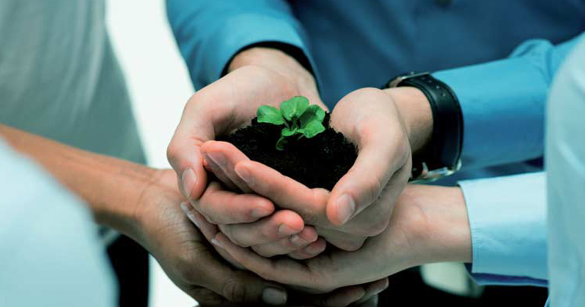 management environnemental